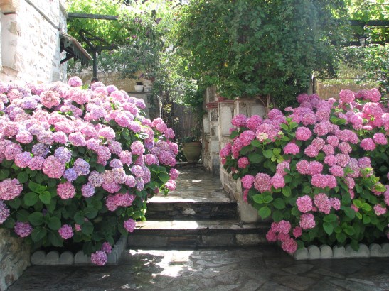 Glorious Peleys Castle Garden